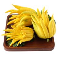 Bergamot essential oil-5.jpg