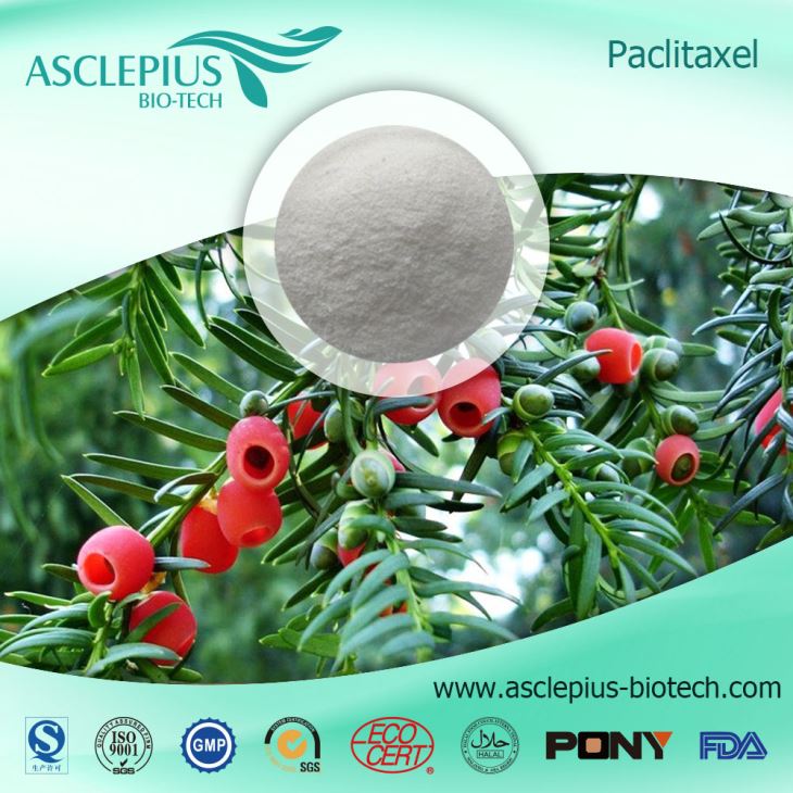 Taxol , paklitaksel , baccatin Ⅲ , cefalomannin , docetaxel leverandør engros