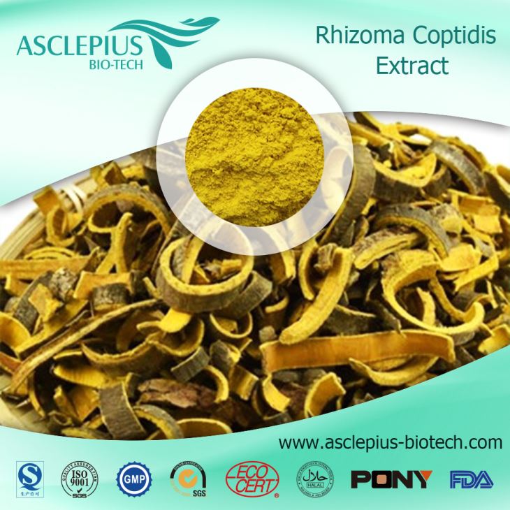 Berberine Hydrochloride ,coptis Root Extract Leverandør Engros