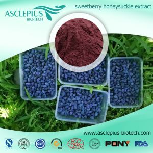 Lonicera Caerulea Extract/Lonicera Caerulea Juice Pulver Leverandør Engros