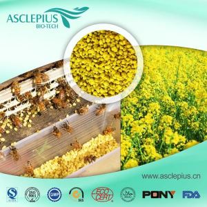 Bee Pollen Organic Bee Pollen Supplement Leverandør Engros