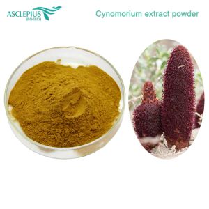 Cynomorium Songaricum-ekstrakt 10: 1 pulver
